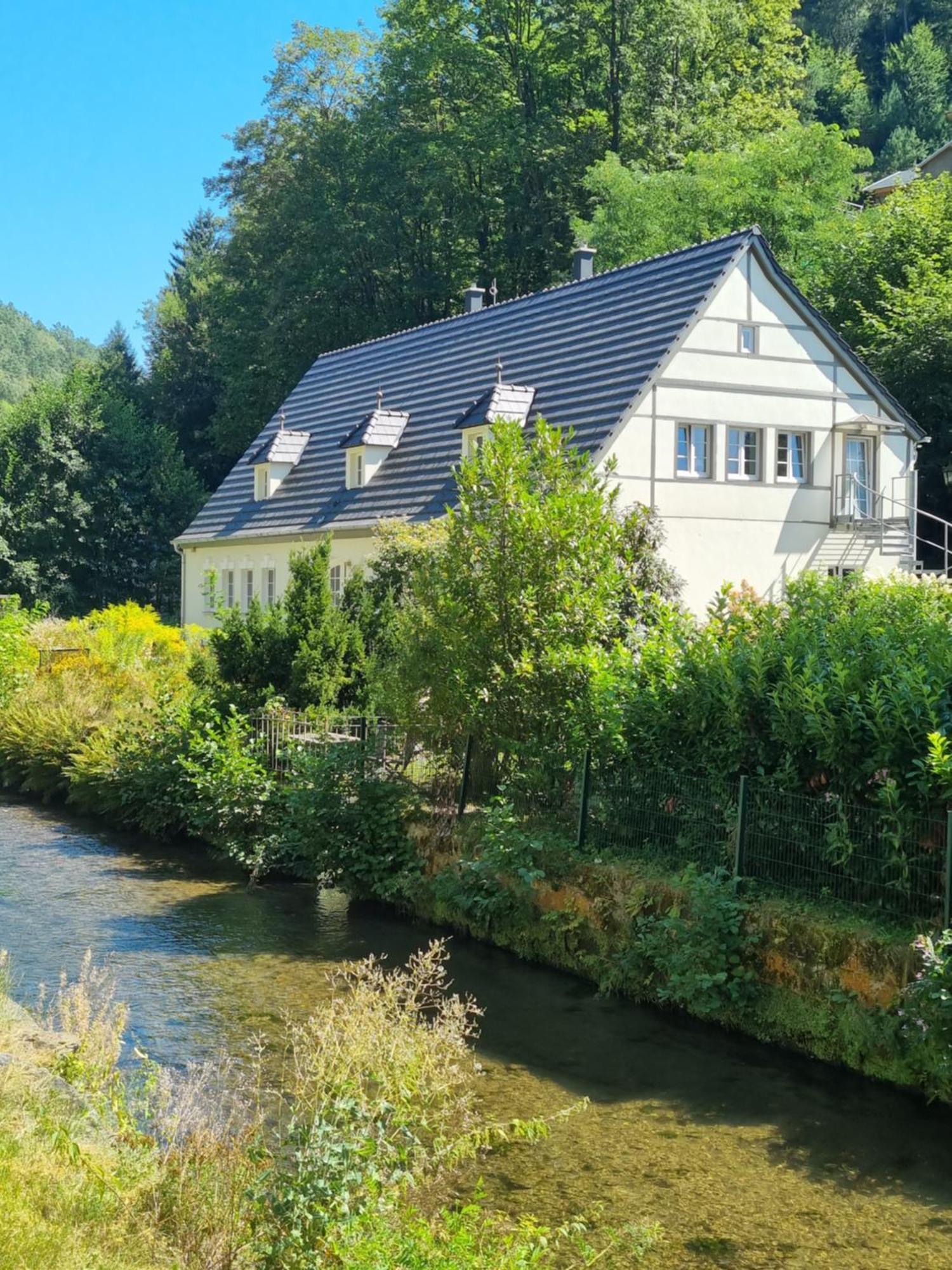 Apartment Studio Aurora Bad Schandau Exterior photo